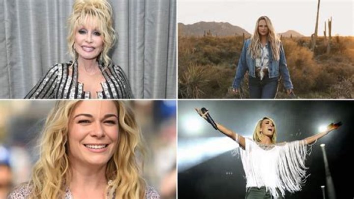 10 Facts On American Singer ·