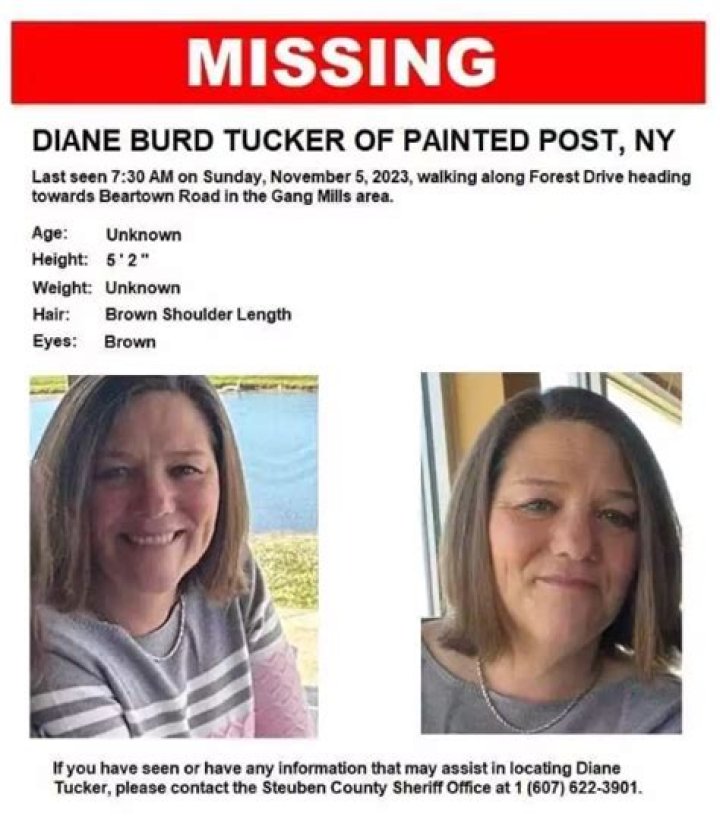 diane tucker painted post ny and diane tucker missing ·