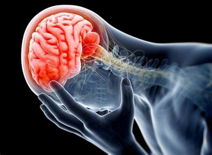 Former UFC fighter Julie Kedzie to donate her brain for solving the CTE riddle ·