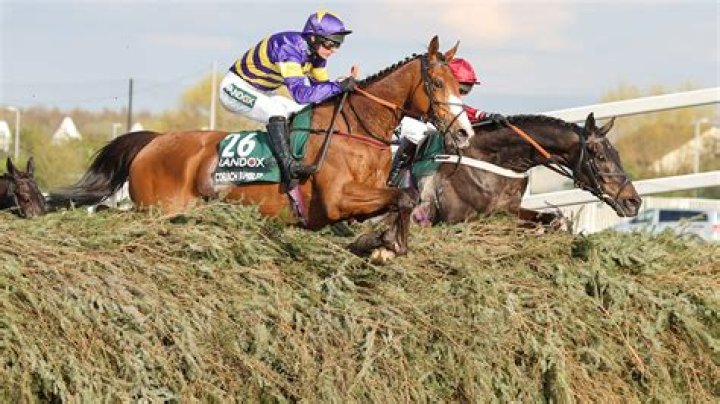 Grand National hero Corach Rambler on 'strict regime' with three-race plan to leave him primed for A