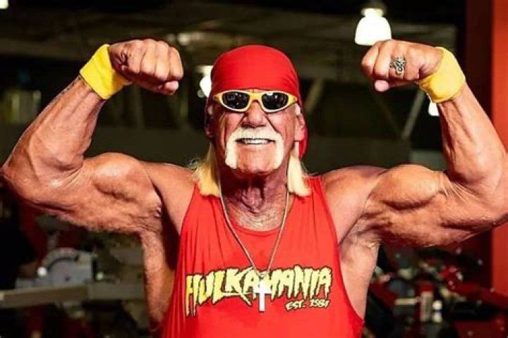 Hulk Hogan Called a Sociopath for Lying &Being Fake Ev ·