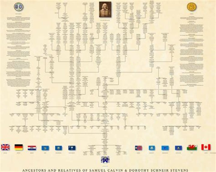 Maria Ferrer Family Tree & History, Ancestry & Genealogy