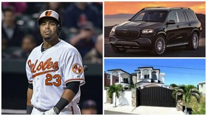 Nelson Cruz Net Worth 2023, Contract, Sponsorships, Cars, Houses, Properties, Charities, Etc ·