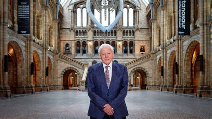 Unveiling The Net Worth And Legacy Of Sir David Attenborough