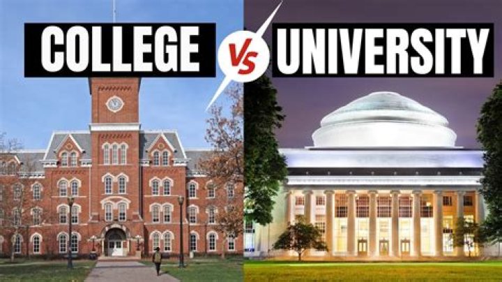 Where did Ben Shelton go to college and high school?